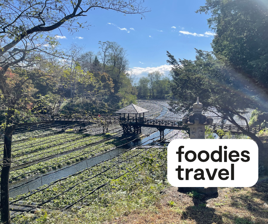 Sfeerafbeelding wasabi-in-azumino-matsumoto-foodies-travel (1)